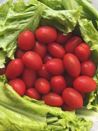 High angle view of fresh tomatoes