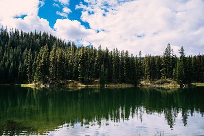 Scenic view of lake in forest against sky