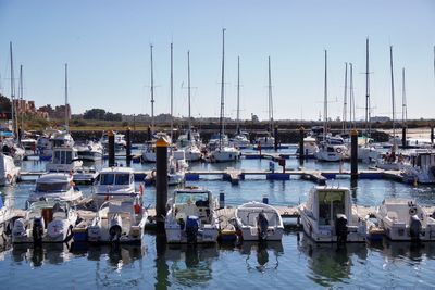 Boats moored at harbor against clear sky