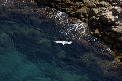 Rocks in sea