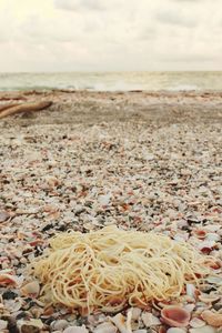 Close-up of sand on beach against sky