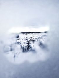 Close-up of frozen water against sky