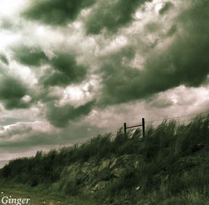 Scenic view of landscape against cloudy sky