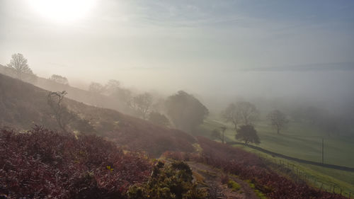 Scenic view of field against sky during foggy weather