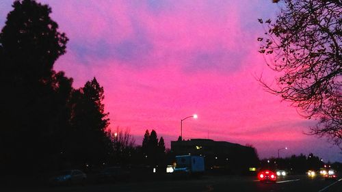 Silhouette trees against sky at night