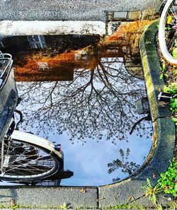 Reflection of trees in puddle on lake