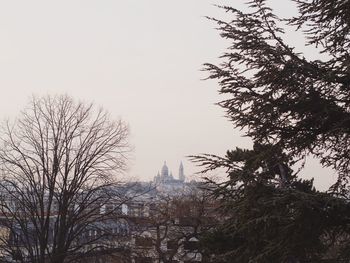 Low angle view of bare trees against clear sky