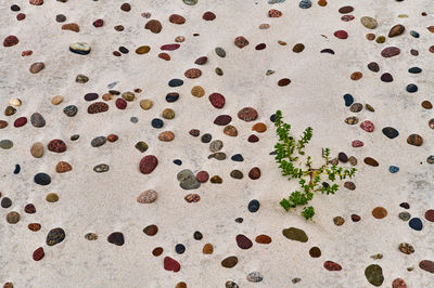 Full frame shot of sand