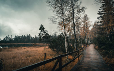Footpath amidst trees in forest against sky