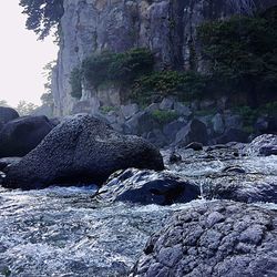 Scenic view of rocks in forest