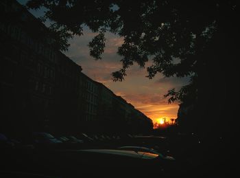 Silhouette of trees at sunset