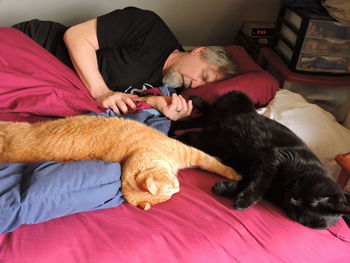 Senior man sleeping with cats on bed at home