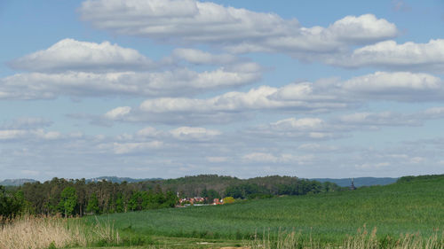 Scenic view of field against sky