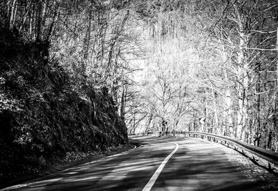 Road amidst bare trees in forest