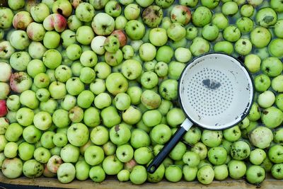 High angle view of green apples with basket in water