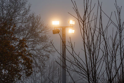 Illuminated floodlights amidst trees in foggy weather