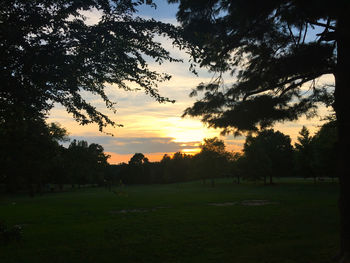 Silhouette trees on field against sky at sunset