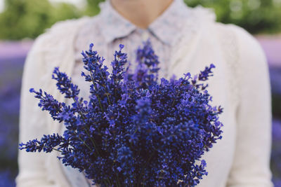 Midsection of woman holding lavender bouquet