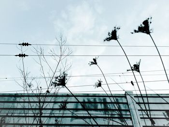 Low angle view of power lines