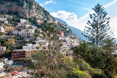 High angle view of trees and buildings in town