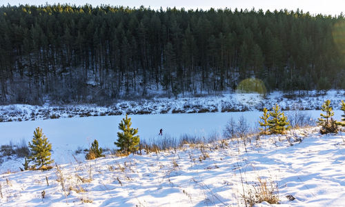 Winter landscape of forest and snow-covered river and skier walking along river. beauty in nature