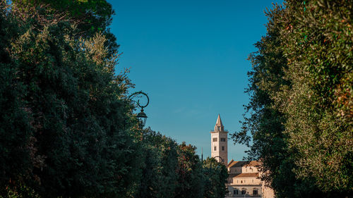 Low angle view of trees against blue sky
