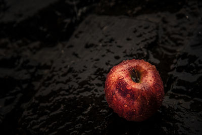 High angle view of apple in water