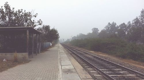 Railroad track along trees