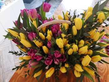 Close-up of yellow tulips