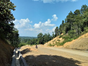 Road amidst trees and plants against sky