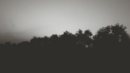 Silhouette trees against sky during sunset