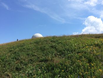 Scenic view of grassy field against sky