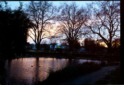 Reflection of trees in river