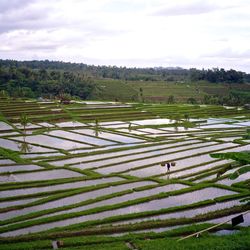 High angle view of field against cloudy sky