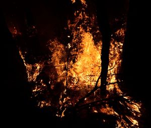 Close-up of fire at night