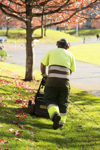 Rear view of unrecognizable gardener man with lawn mower on city park on autunm with trees