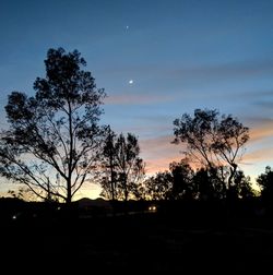 Silhouette trees against sky at night