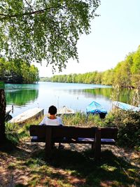 Rear view of man sitting on bench by lake