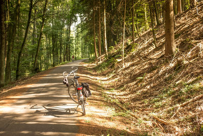 Bicycles riding bicycle on road in forest