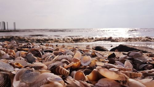 View of pebbles on beach against sky