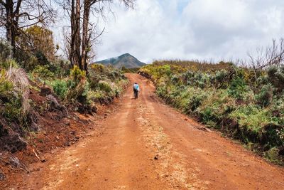 A lone hiker on a dirt road in chogoria route, mount kenya national park, kenya
