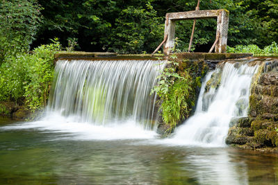 Scenic view of waterfall in forest