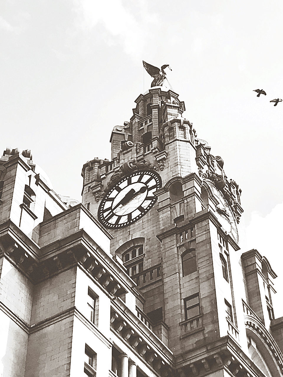 architecture, building exterior, built structure, sky, low angle view, building, landmark, black and white, city, bird, nature, no people, travel destinations, history, the past, tower, day, animal themes, outdoors, monochrome, animal, monochrome photography, travel, clock, flying