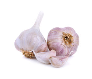 Close-up of garlic against white background