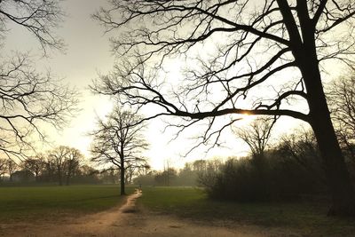 Bare trees on field against sky