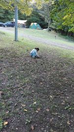 High angle view of man on field