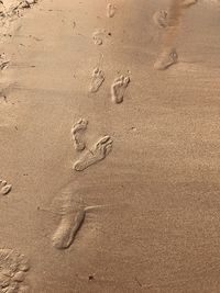 High angle view of footprints on sand at beach