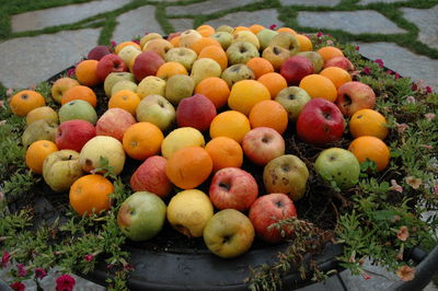 High angle view of fruits