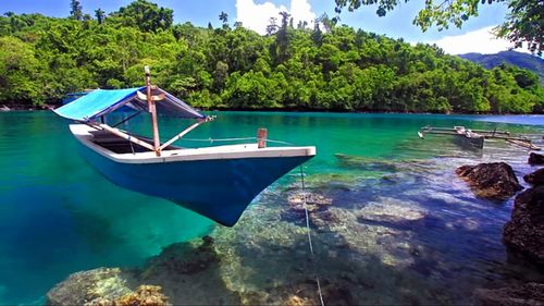 Boat moored in sea against trees