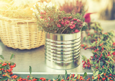 Close-up of red flowering plant in basket on table